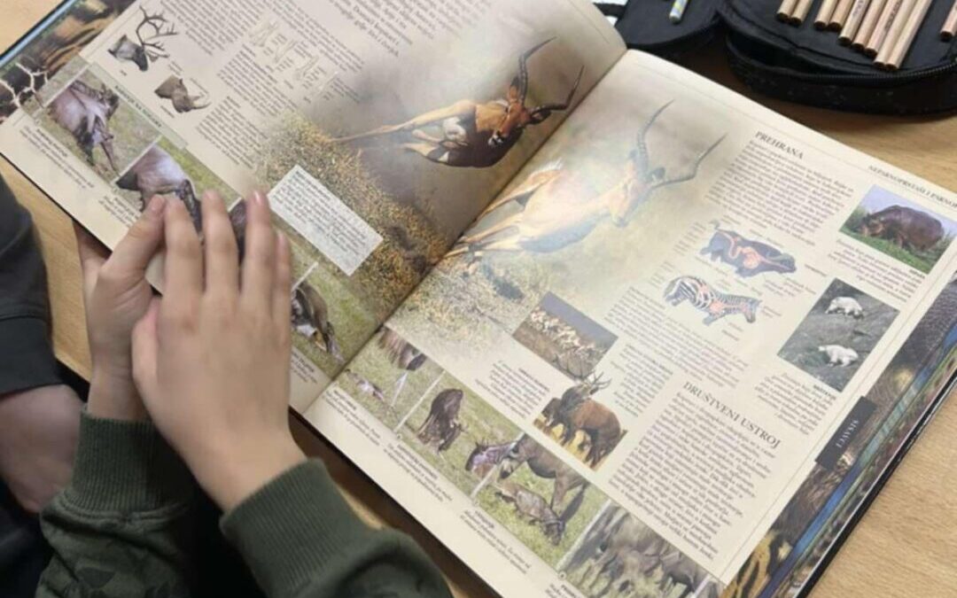 Učenje među policama!