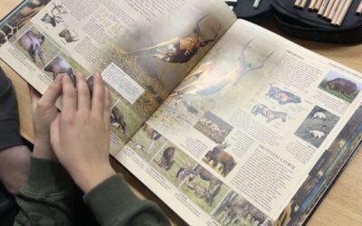 Učenje među policama!