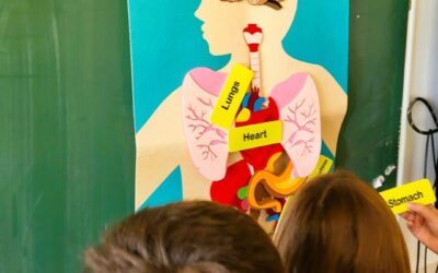 Drugi ciklus radionica Priče iz STEM-a je iza nas!